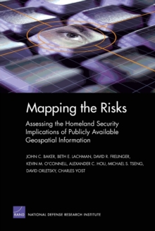 Image for Mapping the risks  : MG-142-NGA