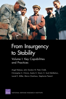 Image for From Insurgency to Stability