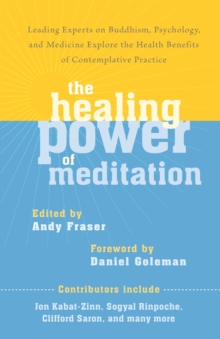 Image for The healing power of meditation: leading experts on Buddhism, psychology, and medicine explore the health benefits of contemplative practice