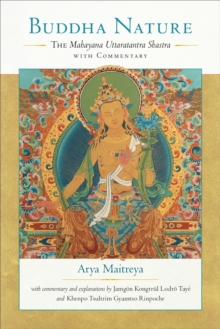 Image for Buddha Nature: The Mahayana Uttaratantra Shastra with Commentary