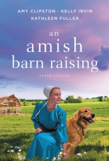 Image for An Amish Barn Raising