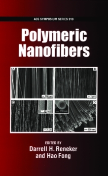 Image for Polymeric Nanofibers