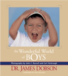 Image for The Wonderful World of Boys