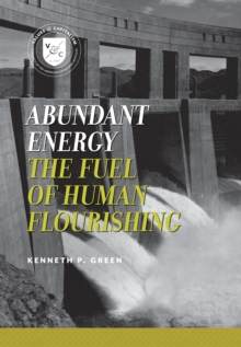 Image for Abundant energy: the fuel of human flourishing
