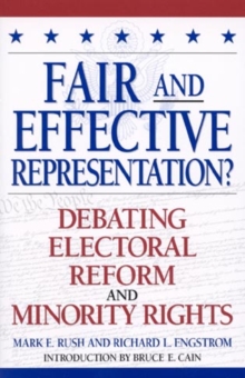 Fair and Effective Representation?