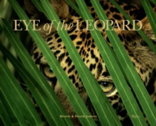 Image for Eye of the Leopard
