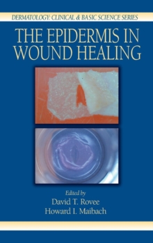 Image for The Epidermis in Wound Healing