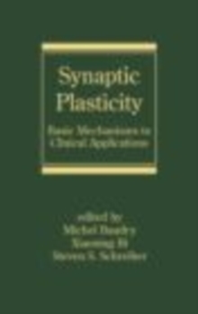 Image for Synaptic plasticity: basic mechanisms to clinical applications