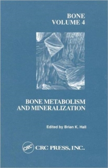 Image for Bone, Volume IV