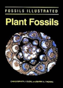 Image for Plant Fossils