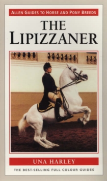 Image for Lipizzaner Horse the