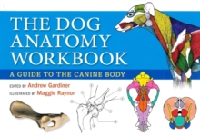 Image for The dog anatomy workbook  : a learning aid for students