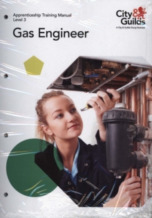 Image for Level 3 gas engineer  : apprenticeship training manual
