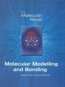 Image for Molecular Modelling and Bonding
