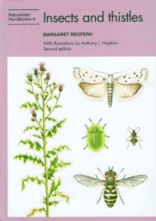 Image for Insects and thistles
