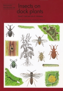 Image for Insects on dock plants