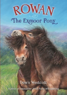 Image for Rowan The Exmoor Pony