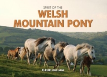 Image for Spirit of the Welsh mountain pony