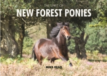 The Spirit of New Forest Ponies