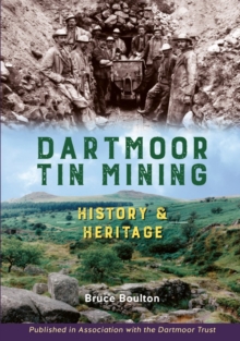 Image for Dartmoor Tin Mining
