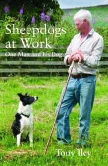 Image for Sheepdogs at Work