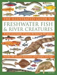 Image for The illustrated guide to freshwater fish & river creatures  : a visual encyclopedia of aquatic life featuring 450 species