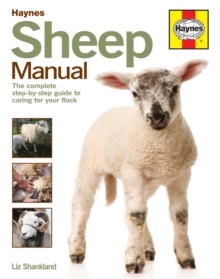 Image for Haynes sheep manual  : the step-by-step guide to caring for your first flock