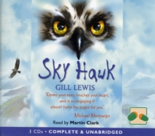 Image for Sky hawk