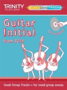 Image for Small Group Tracks: Guitar Initial