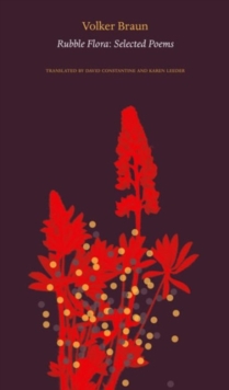 Image for Rubble Flora