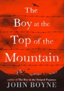 Image for The boy at the top of the mountain