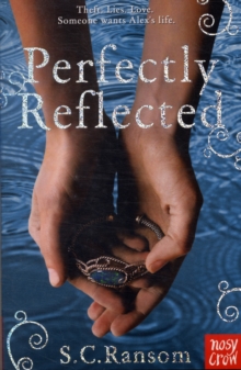 Image for Perfectly Reflected