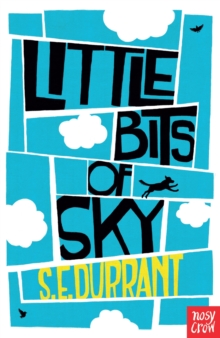 Image for Little bits of sky
