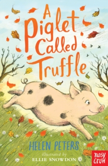 Image for A pig called Truffle