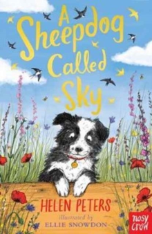Image for A sheepdog called Sky