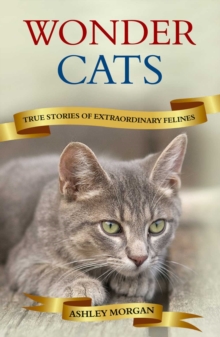 Image for Wonder cats: true stories of extraordinary felines