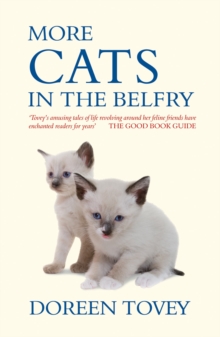 Image for More cats in the belfry