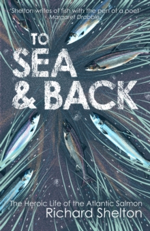 Image for To Sea and Back: The Heroic Life of the Atlantic Salmon.