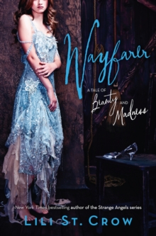 Image for Wayfarer: A Tale of Beauty and Madness