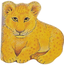 Image for Pocket Lion