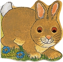 Image for Pocket Bunny