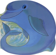 Image for Pocket Dolphin