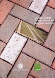 Image for Source Control Using Constructed Pervious Surfaces