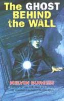 Image for The ghost behind the wall