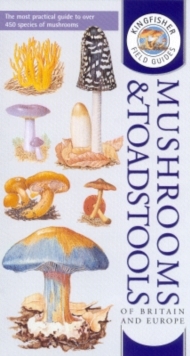 Image for Mushrooms & toadstools of Britain & Europe