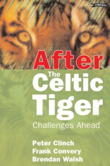 Image for After the Celtic Tiger
