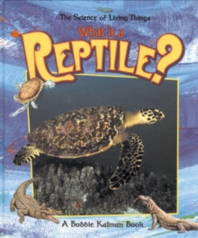 Image for What is a Reptile?