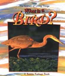 Image for What Is A Bird