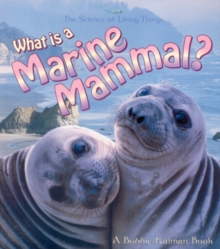 What Is A Marine Mammal