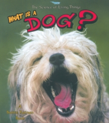 Image for What Is a Dog